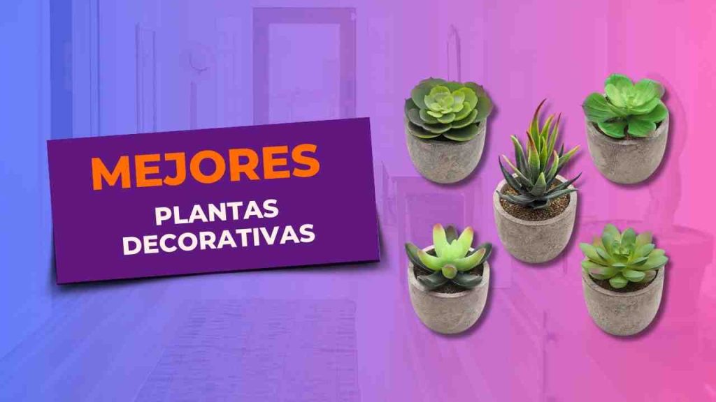 153 Plantas Decorativas