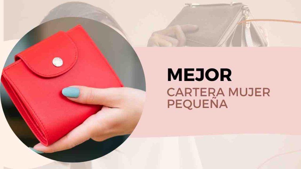 168 Cartera Mujer pequena