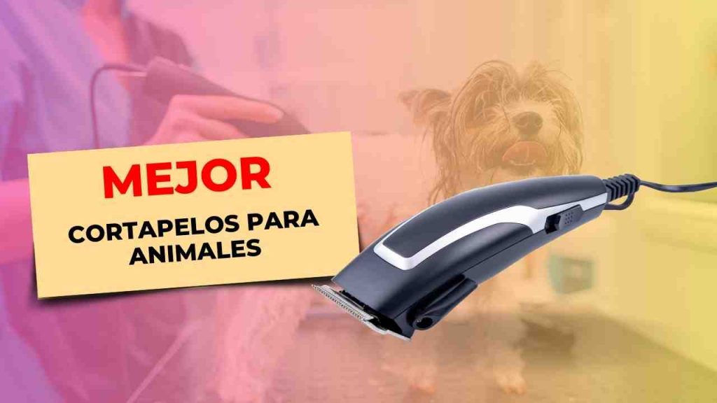 84 Cortapelos para animales