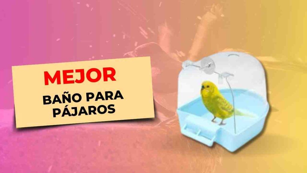 87 Bano para pajaros