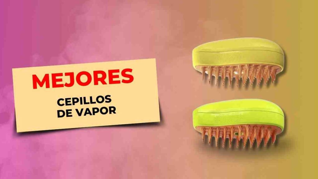 115 Mejores Cepillos de vapor